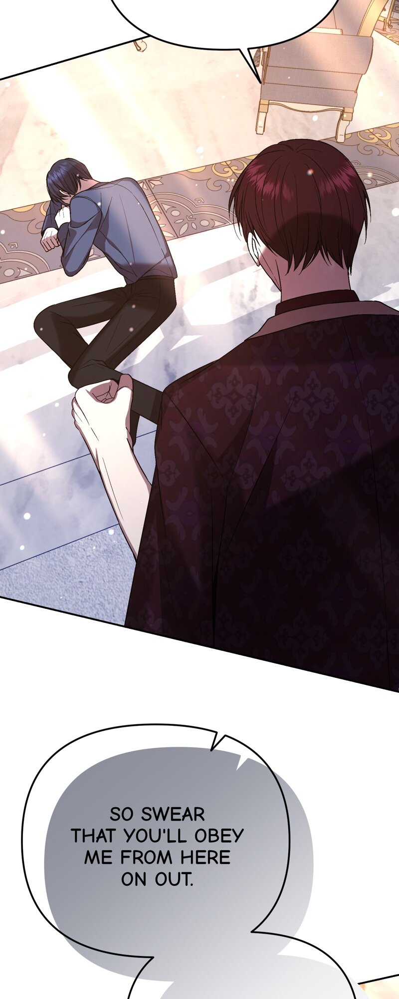 52882385 800 2000 175288