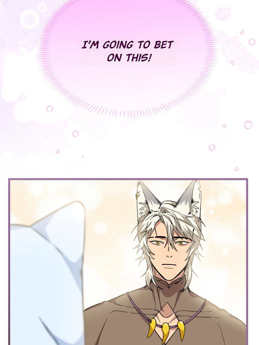 84700499 900 1200 77712